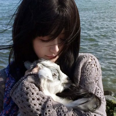 好莱坞以北